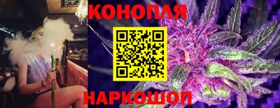 тгк Пугачёв