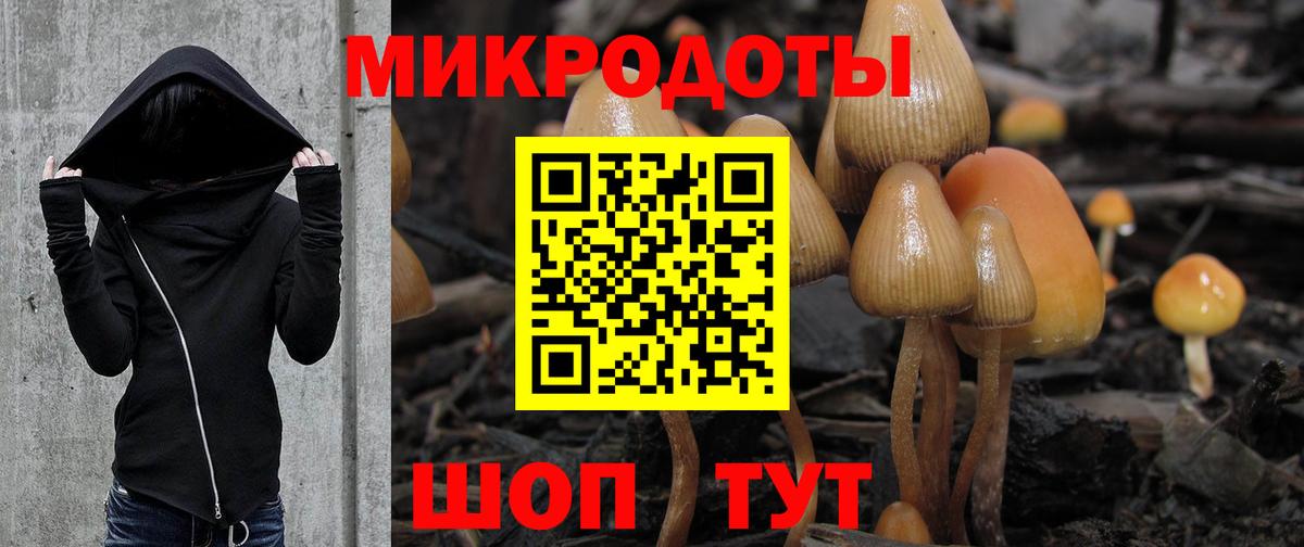 Псилоцибиновые грибы Magic Shrooms  Вход с VPN  где купить наркоту  Алатырь 
